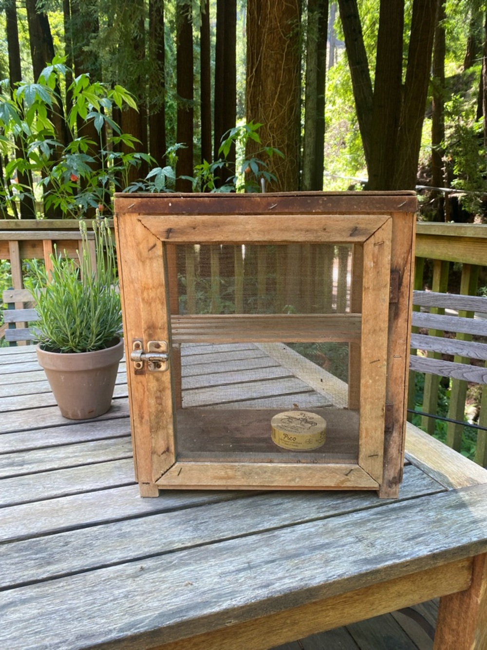 Rustic Wooden French Cheese safe- Natural Wood